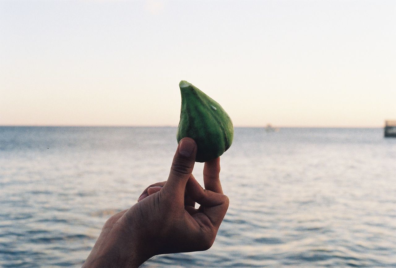 water, sea, hand, sky, one person, nature, holding, horizon, horizon over water, ocean, focus on foreground, clear sky, land, beauty in nature, leisure activity, adult, lifestyles, beach, outdoors, copy space, day, shore, personal perspective, finger, holiday, men, scenics - nature