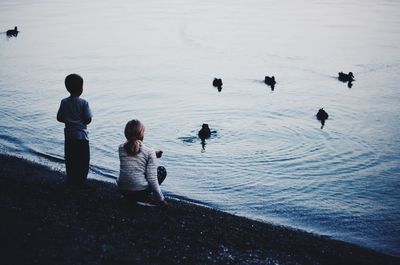 Children looking at birds on lakeshore