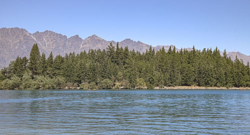 Scenic view of lake in forest against clear sky