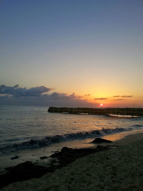 SCENIC VIEW OF SEA DURING SUNSET