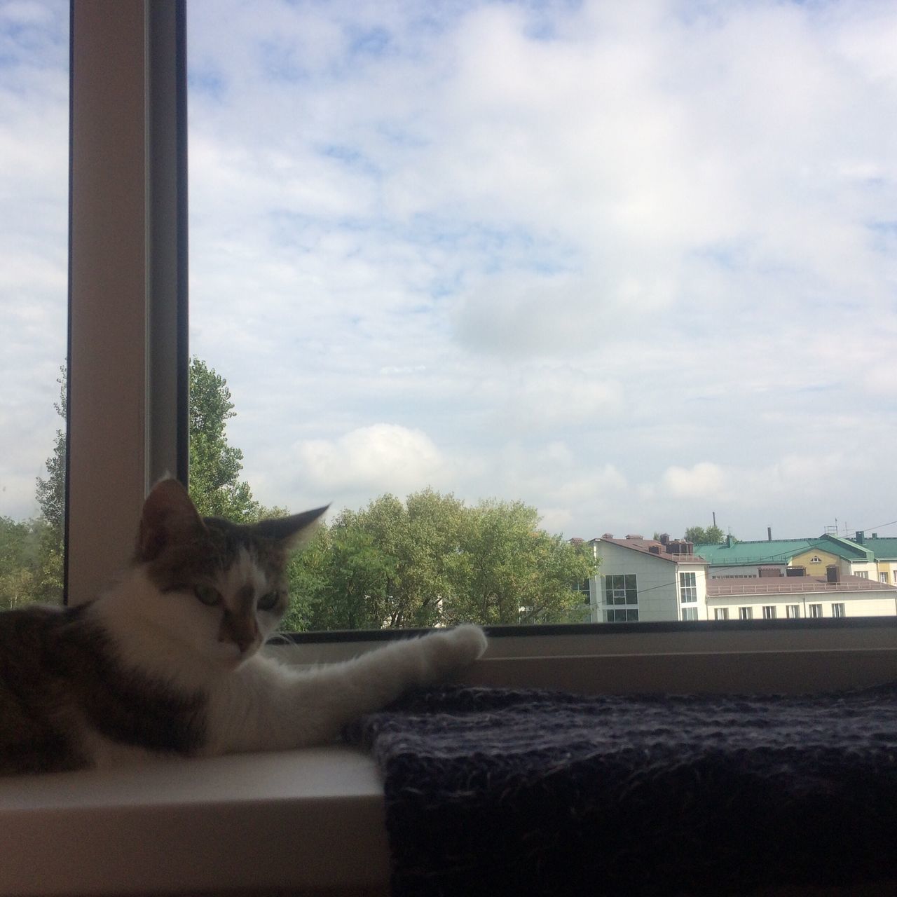 VIEW OF BUILDINGS THROUGH WINDOW