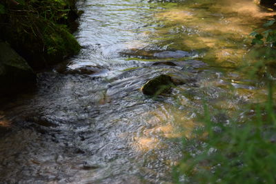 River flowing in sunlight
