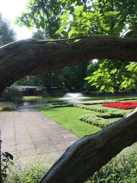 View of footpath along trees