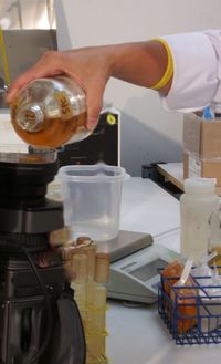 Close-up of man preparing food in kitchen