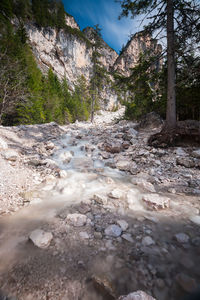Stream flowing through rocks in forest