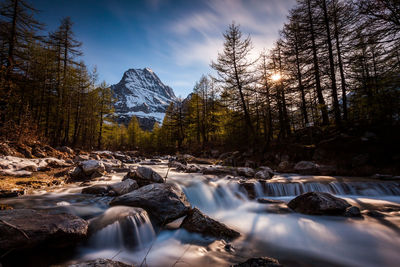 Scenic view of waterfall in forest