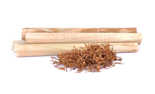 Close-up of dried plant against white background