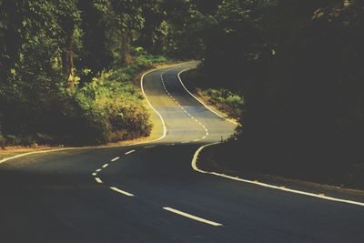 Empty road amidst trees in city