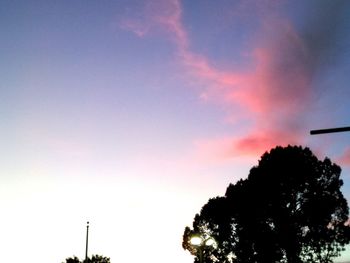 Low angle view of tree against sky