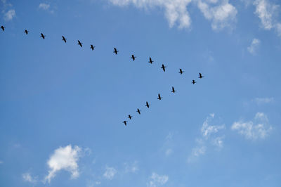 Silhouette flock of birds flying against sky