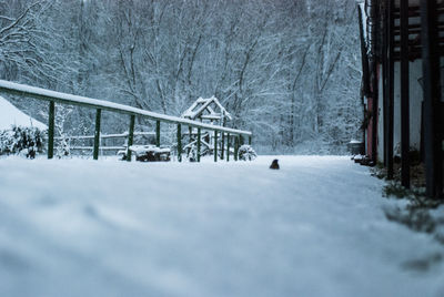 View of snow covered bridge