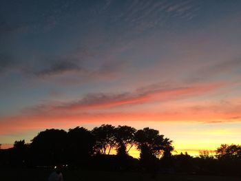 Silhouette of trees at sunset