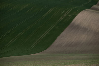 Scenic view of agricultural field