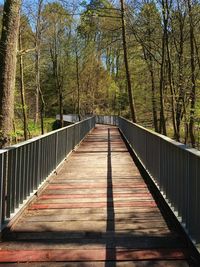 Footbridge in forest