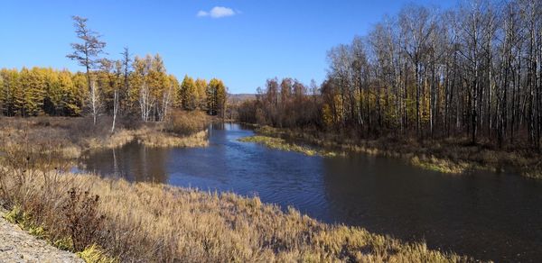 Scenic view of lake in forest against sky