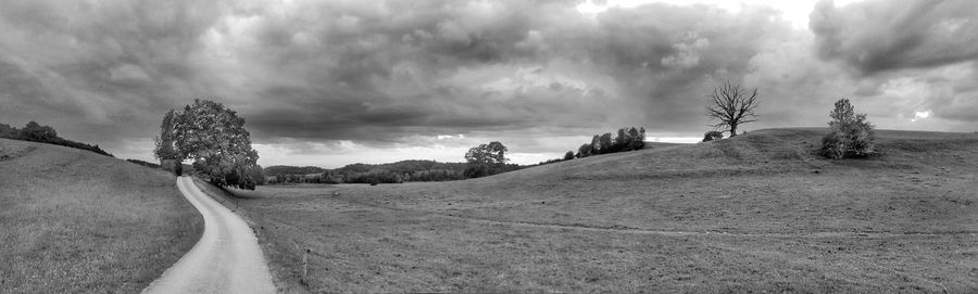 Panoramic view of road amidst trees against sky