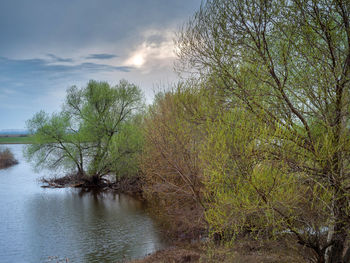 Scenic view of river against sky