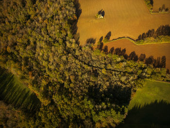 Scenic view of landscape