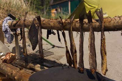 Dried fish