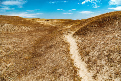 Lithuanian dunes