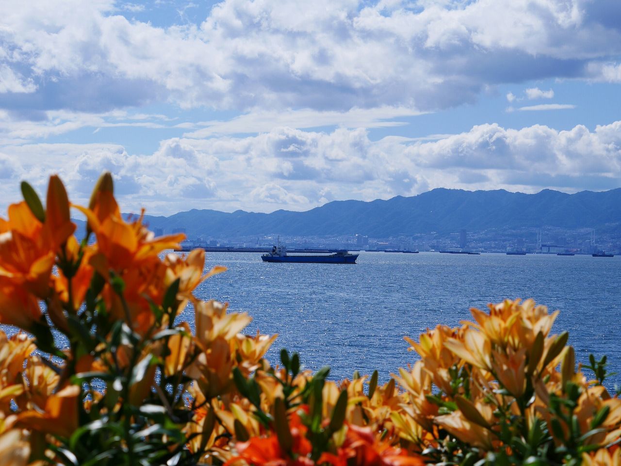 nautical vessel, transportation, water, boat, mode of transport, mountain, sky, cloud - sky, beauty in nature, nature, tranquil scene, sea, moored, tranquility, scenics, mountain range, flower, lake, river, cloud