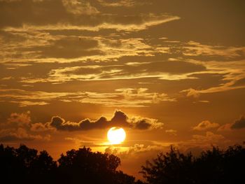 Low angle view of silhouette trees against orange sky