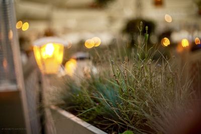 Old square in warsaw  poland,  french cote the azure deco  flowers 