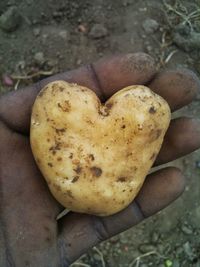 Close-up of cropped dirty hand holding heart shape potato