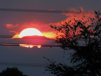 Low angle view of silhouette tree against sunset sky