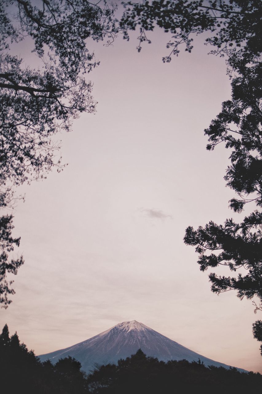 sky, mountain, tree, beauty in nature, scenics - nature, plant, nature, tranquil scene, tranquility, non-urban scene, cloud - sky, no people, volcano, land, outdoors, day, travel destinations, idyllic, sunset, growth, mountain peak, snowcapped mountain