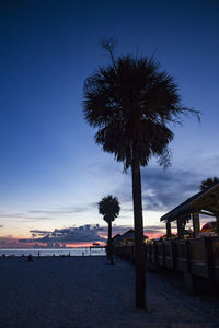 Palm trees on beach against sky during sunset