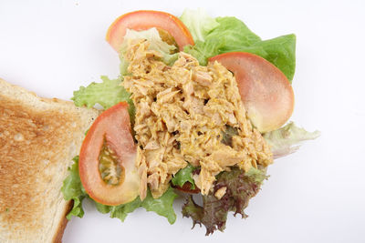 High angle view of fresh vegetables in plate against white background