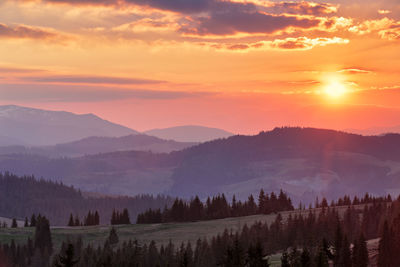 Scenic view of forest against dramatic sky