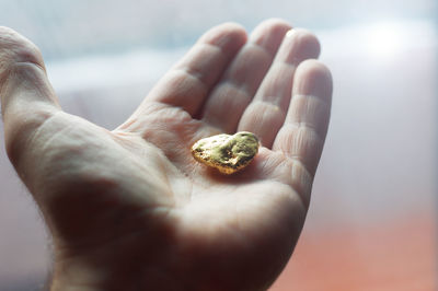 Close-up of person holding gold 