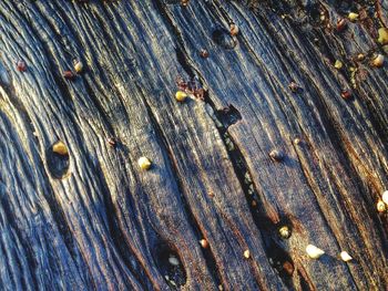 Close-up of wooden plank