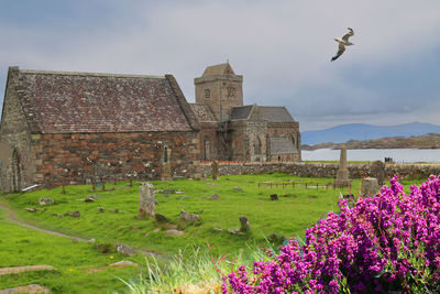 Iona abbey scotland united kingdom