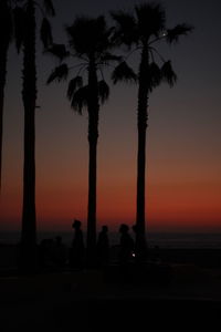 Silhouette palm trees on beach against sky during sunset