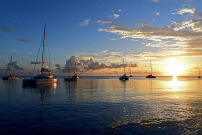 Sailboats in marina at sunset