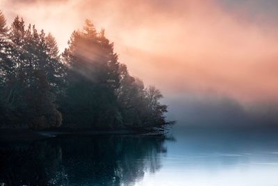 Trees by lake against sky during sunset