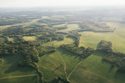 Endless forests of belarus and farm fields in summer. panorama at sunset from flight altitude