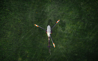 High angle view of toy on land in forest