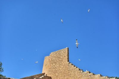 Low angle view of balloons against clear blue sky