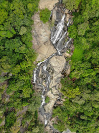 High angle view of rocks in forest