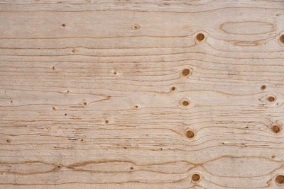 The texture of wooden plywood is like a background