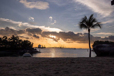Silhouette palm trees on beach against sky during sunset