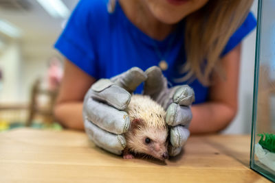 Woman playing with porcupine on table