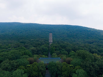 Scenic view of green landscape against sky