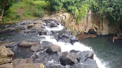 Stream flowing through rocks in forest
