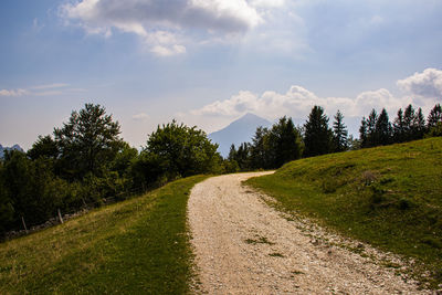 Dirt road along plants and trees against sky