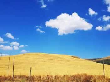 Scenic view of field against blue sky